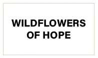 Wildflowers of Hope